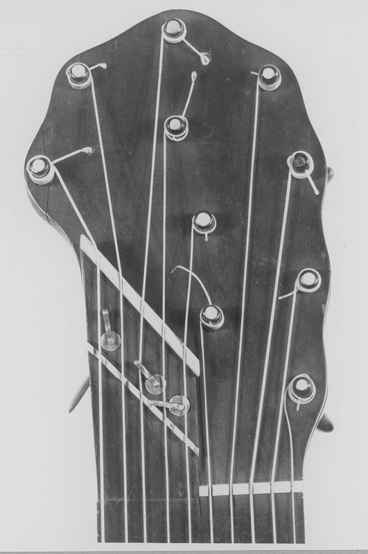 Décacorde ou guitare à 10 cordes