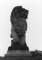M153917