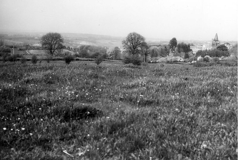 prairie / Aspect[Limbourg]