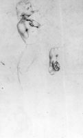M155384