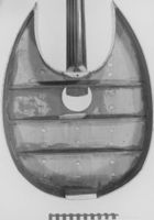 M157556