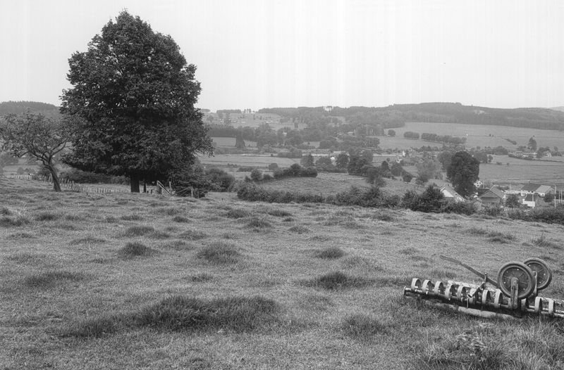 Vue vers la colline où sont établis les hameaux de Wavreumont et de Binsta