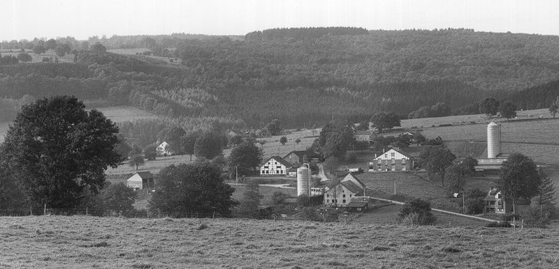 Hameau de Cheneux à partir de la route de Binsta
