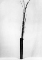 M160233