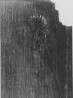 M161161