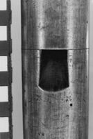 M161841