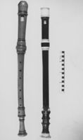 M161855