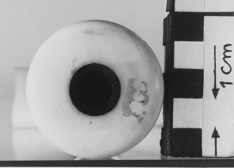 flûte à bec / Musée des instruments de musique (MIM)