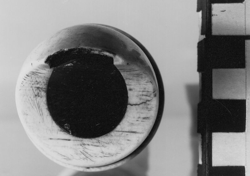 flûte à bec / Musée des instruments de musique (MIM)