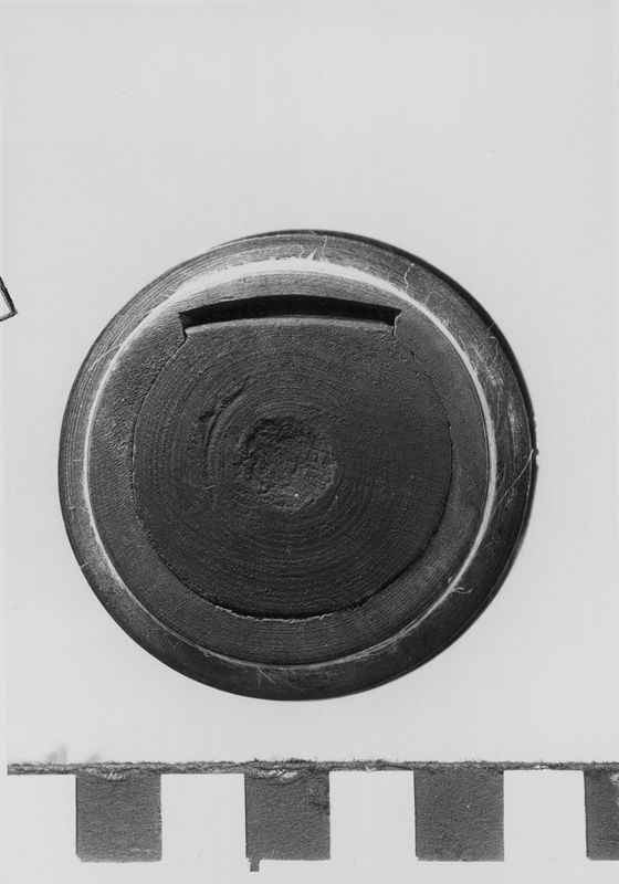 flûte à bec / Musée des instruments de musique (MIM)