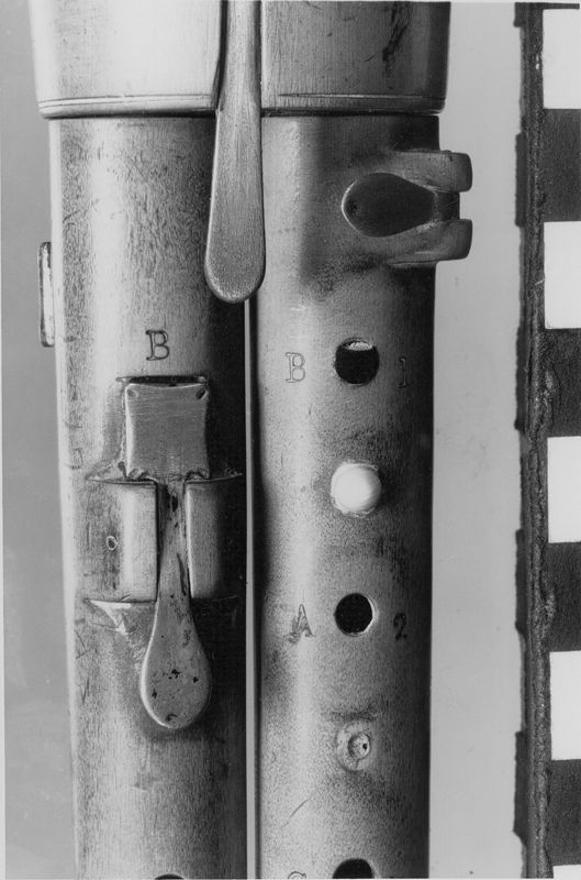 Flageolet double