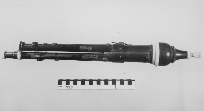 Flageolet double
