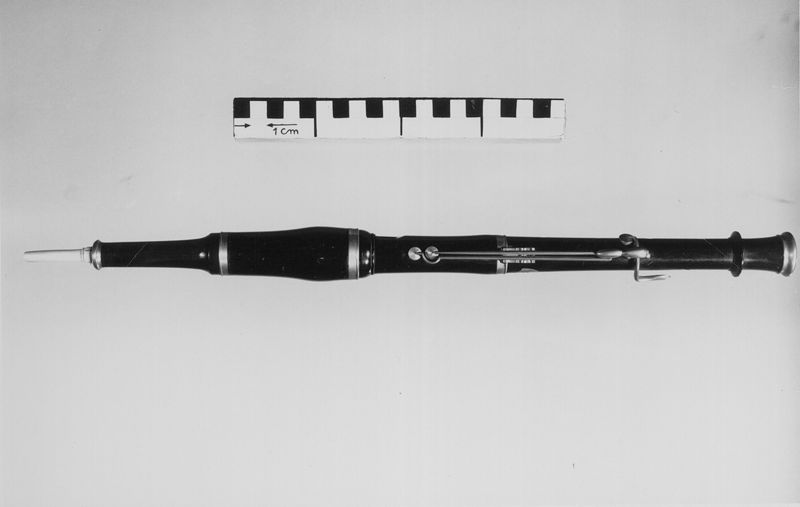 Flageolet
