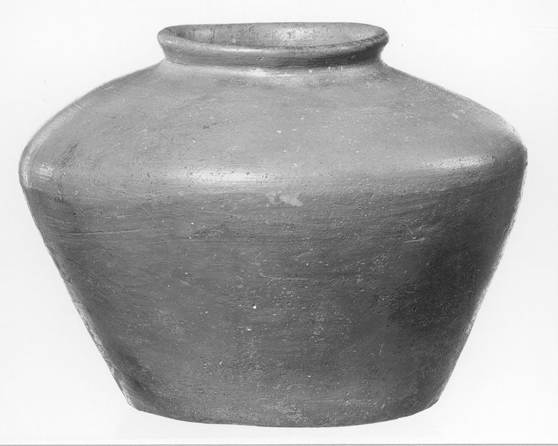gladwandig, rood, lichtbolle bodem