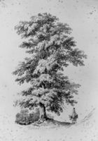 M165515