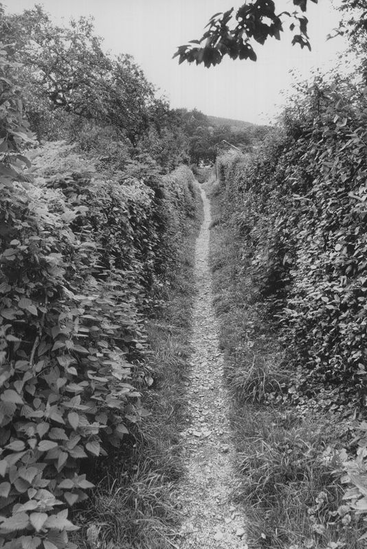 sentier piétonnier / Aspect[Stavelot]