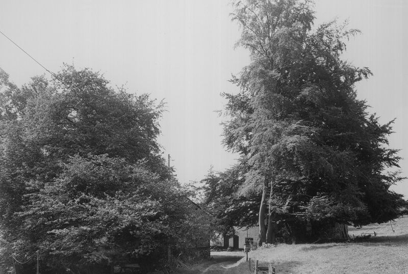Ster (Renardmont), chemin menant à la ferme n°1