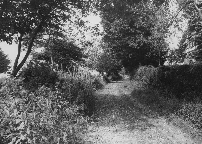 Chemin voisin de la villa "Chante-Grive" (Bel-air)