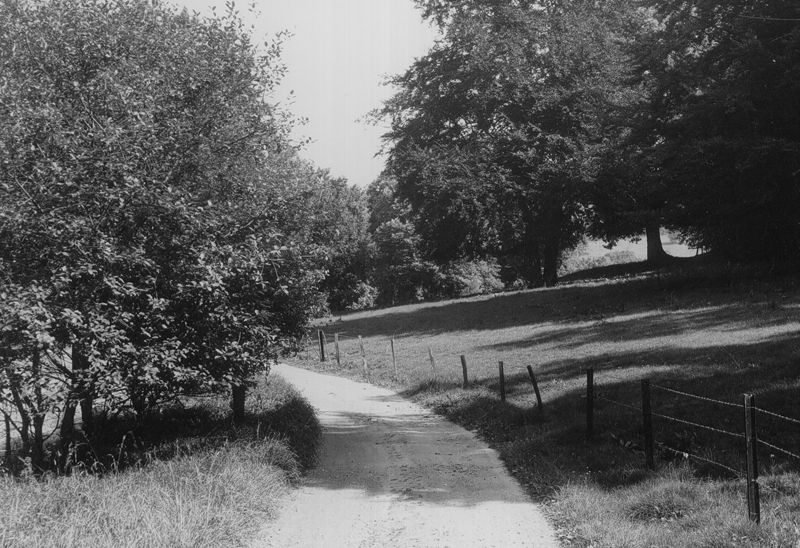 chemin rural / Aspect[Stavelot]