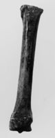 M170036