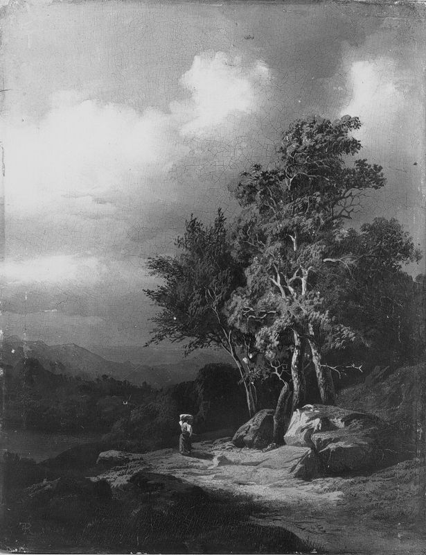 Paysage