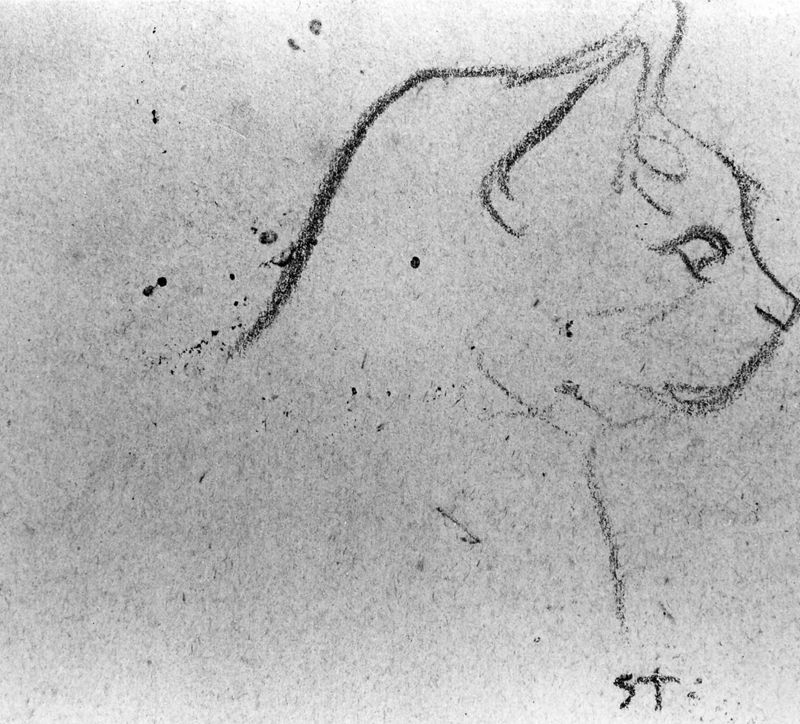 Schets van en kat