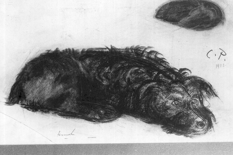 Le chien