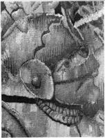 M181747