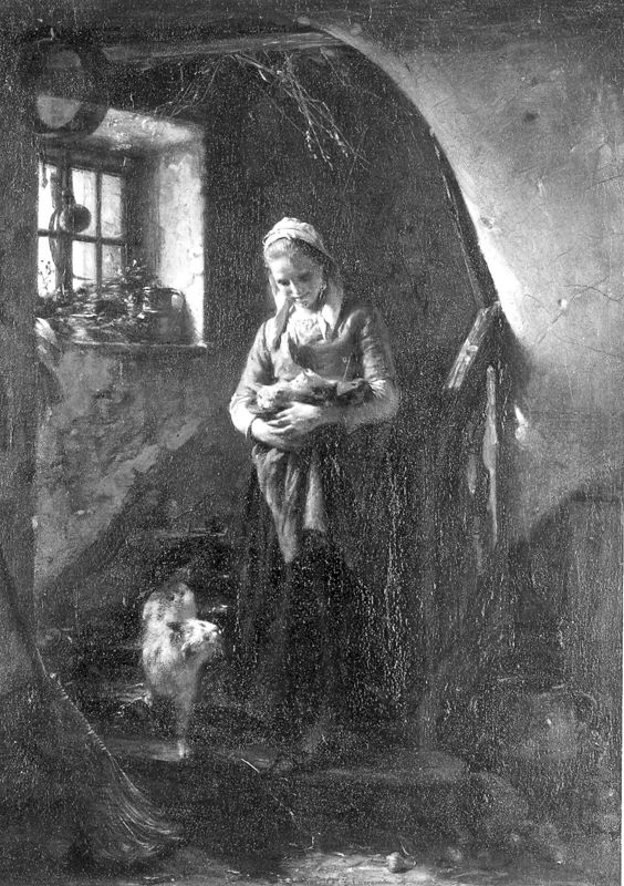 Boorlingen (Katjes)