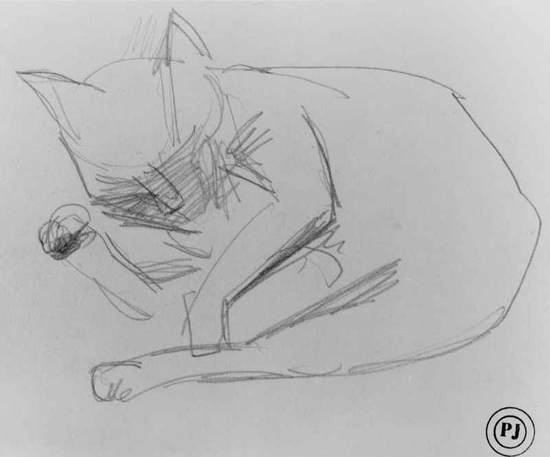 Poes die zich schoonlikt