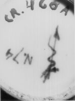 M192021