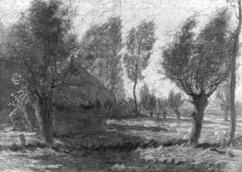 Onder de wilgen