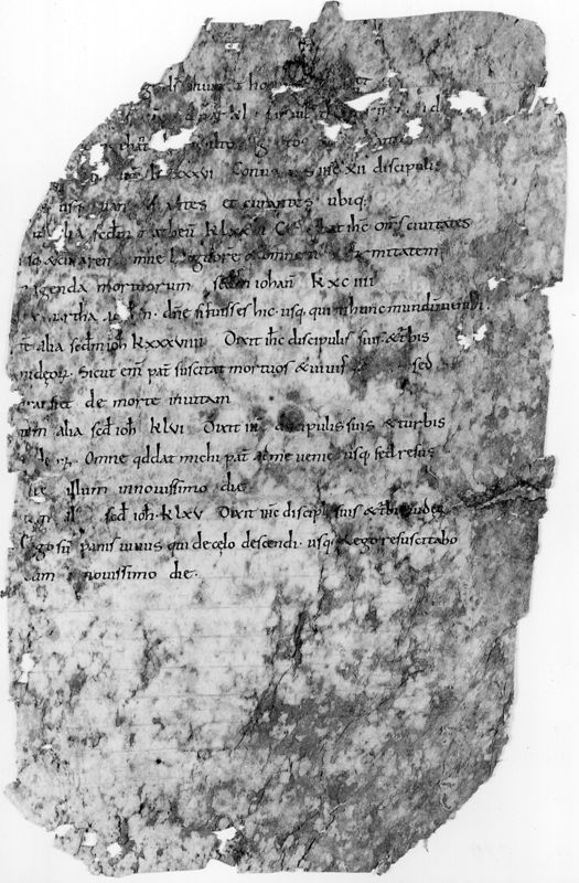 Liber Evangeliorum