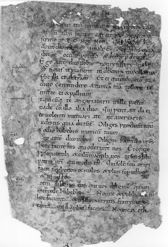Liber Evangeliorum