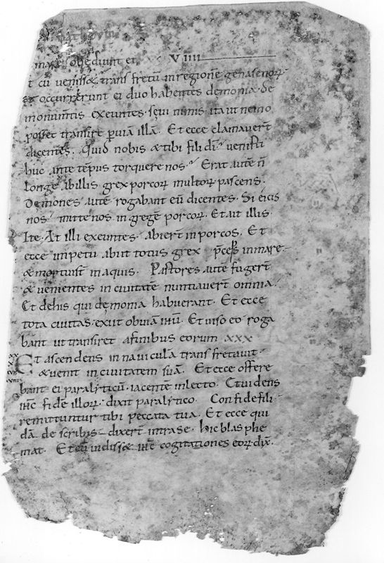 Liber Evangeliorum