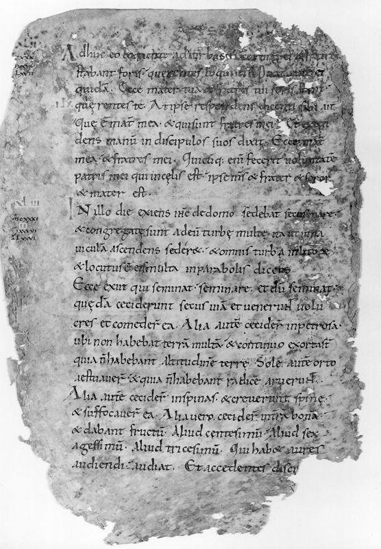 Liber Evangeliorum