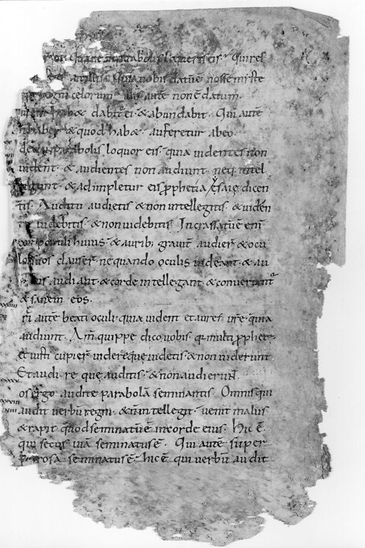 Liber Evangeliorum