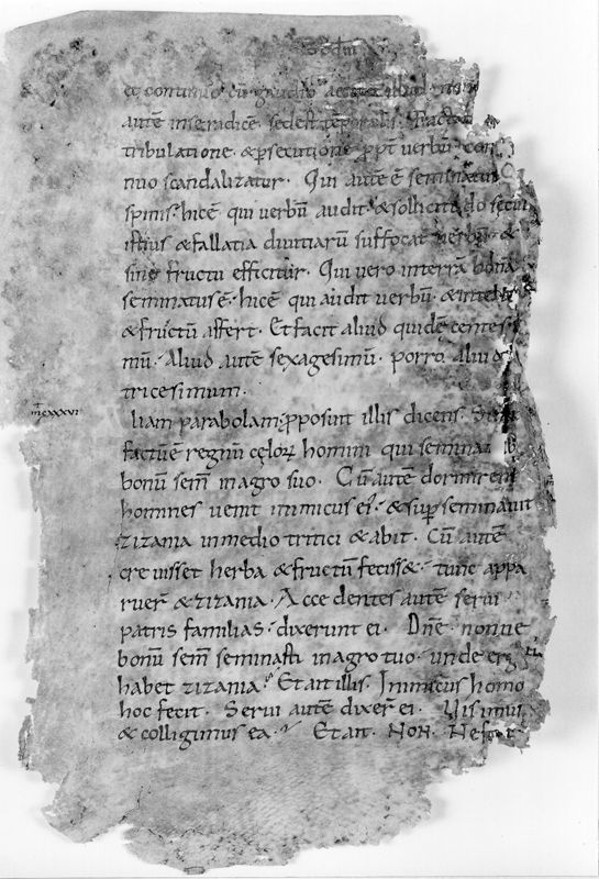 Liber Evangeliorum