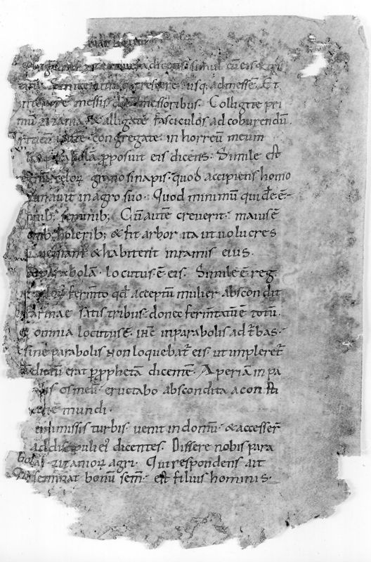 Liber Evangeliorum