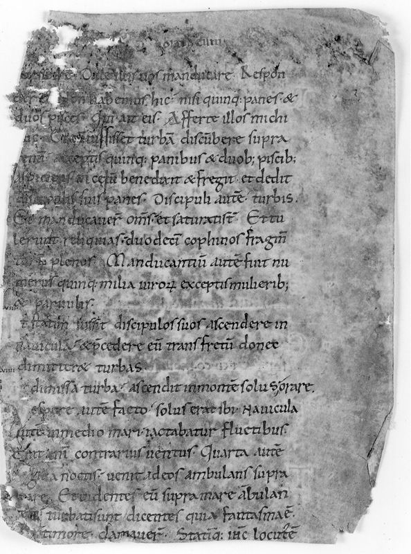 Liber Evangeliorum