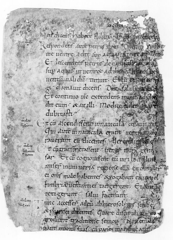 Liber Evangeliorum
