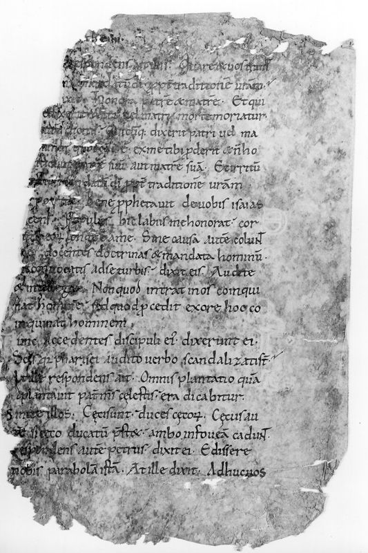 Liber Evangeliorum