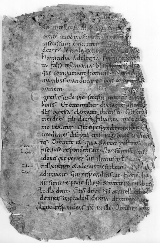 Liber Evangeliorum