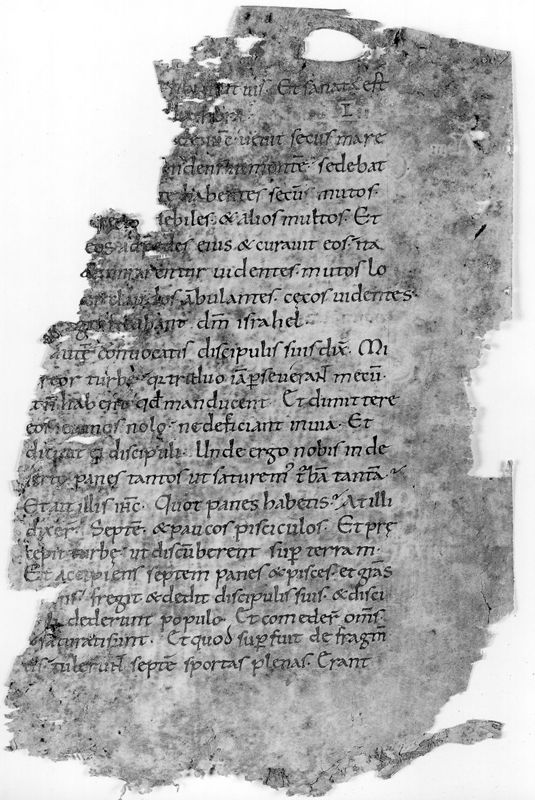Liber Evangeliorum