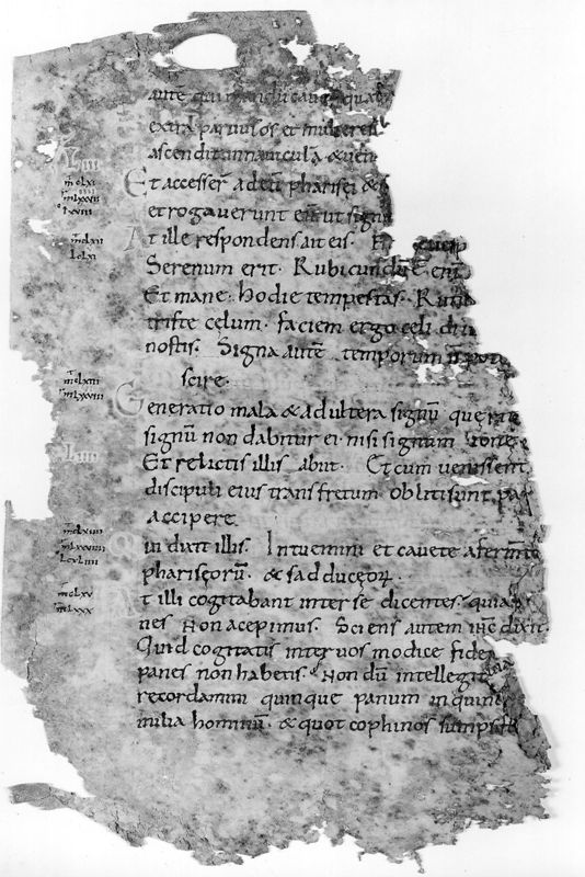 Liber Evangeliorum