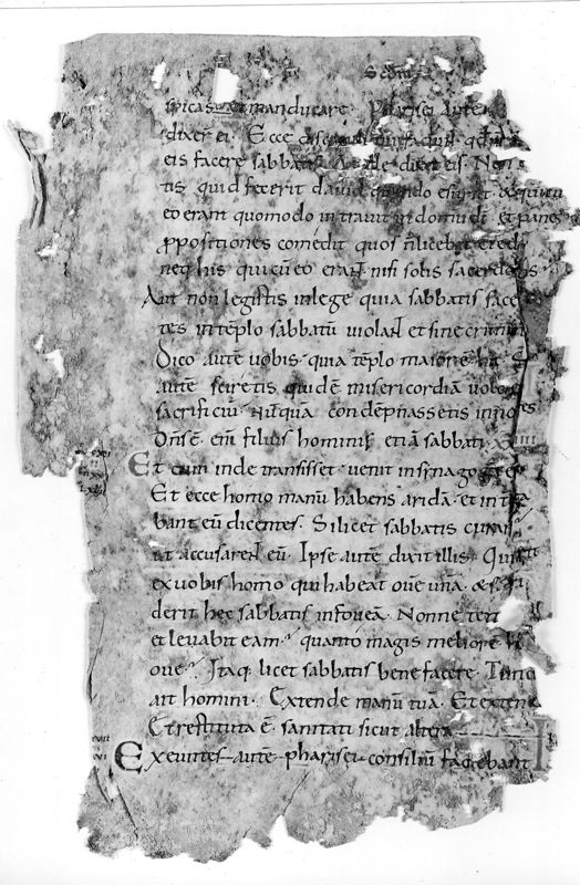 Liber Evangeliorum