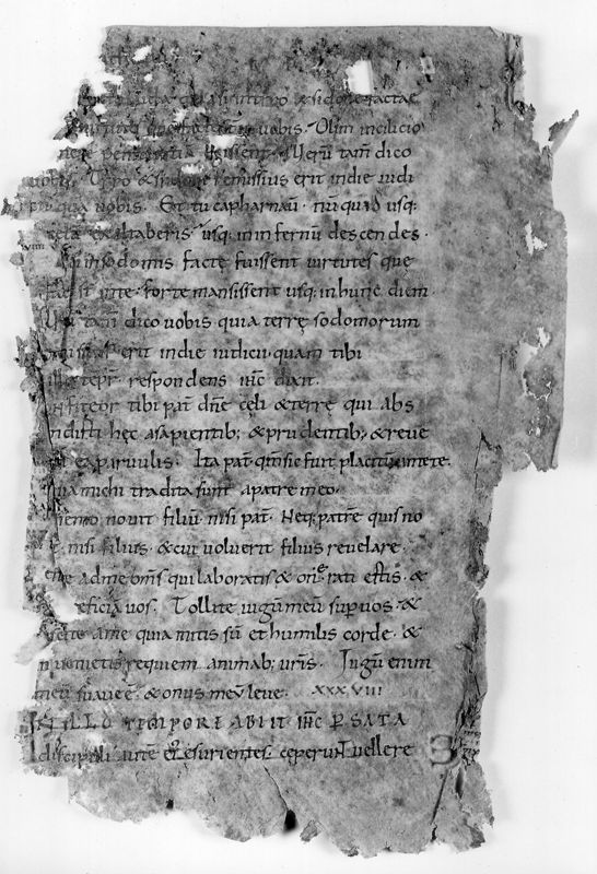 Liber Evangeliorum