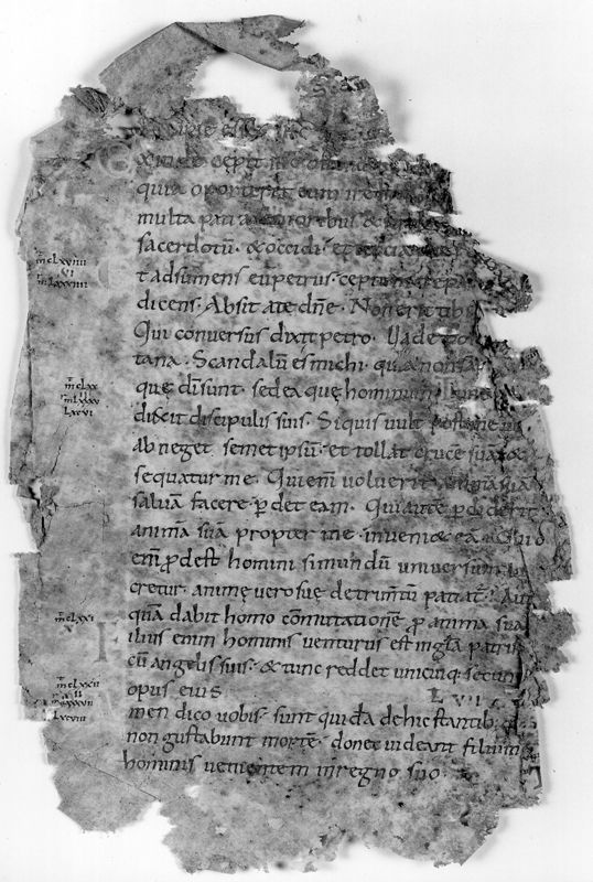 Liber Evangeliorum