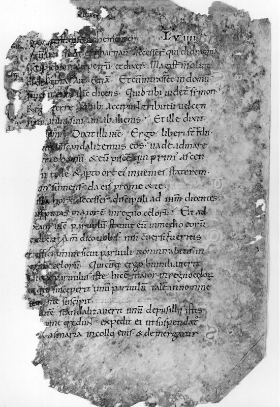 Liber Evangeliorum