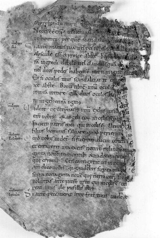 Liber Evangeliorum